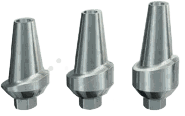 Anatomic Abutments